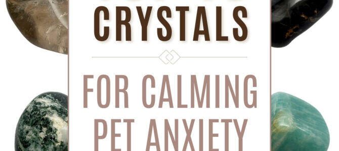 The Top 10 Crystals For Calming Pet Anxiety