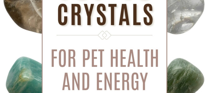 The Top 10 Crystals For Pet Health & Energy